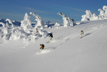Skiing Siegi Tours